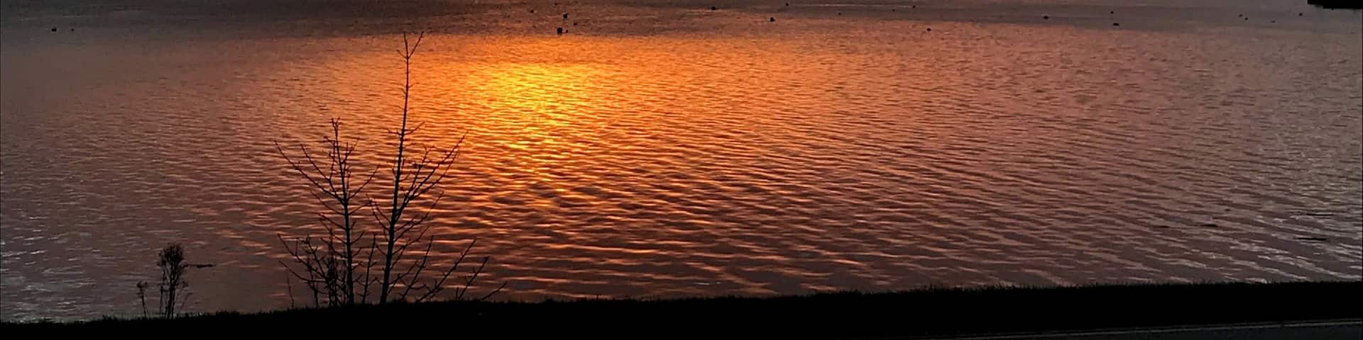 New years day sunrise