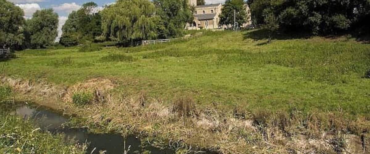 A grassy field with a pond, trees, and a building in the background.