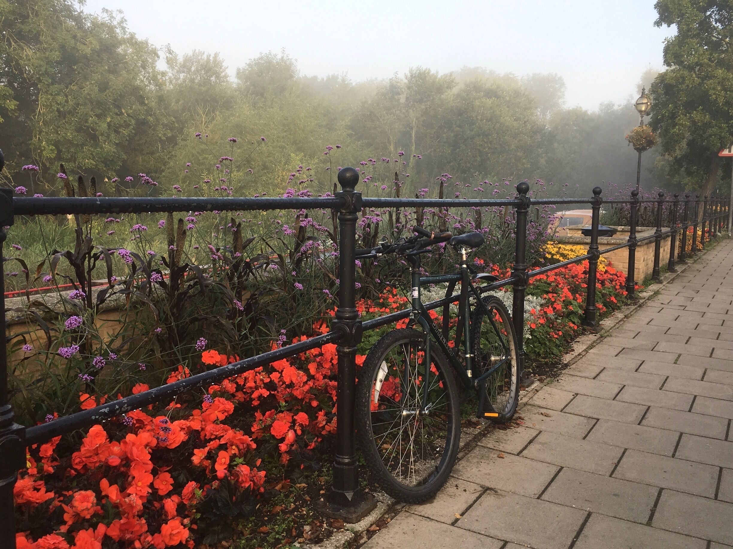 Early morning mist over the river