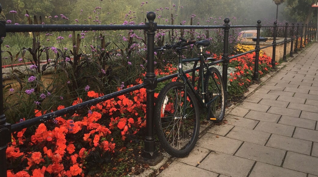 Early morning mist over the river