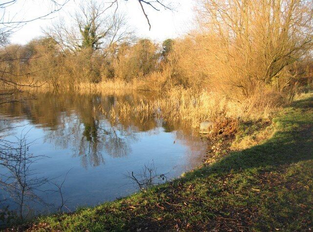Northeast corner of Drayton Lagoon