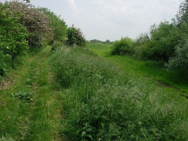 River bank Set back from the river to create some washland to increase the capacity during high flows.