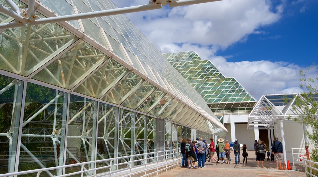 Biosphere 2 as well as a small group of people