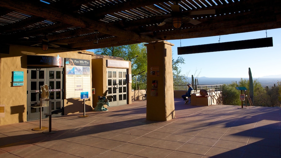 Arizona-Sonora Desert Museum
