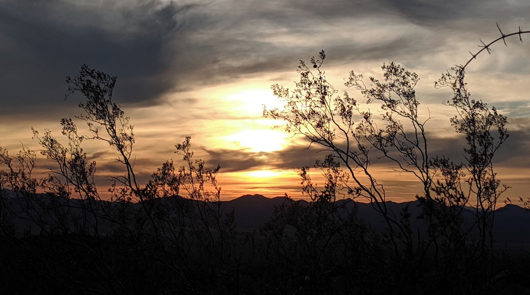 Sunset over the Arizona desert.