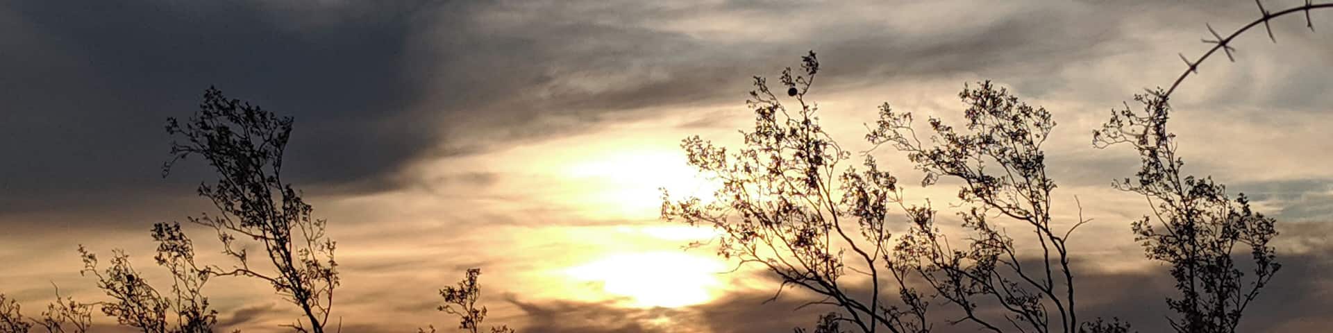 Sunset over the Arizona desert.