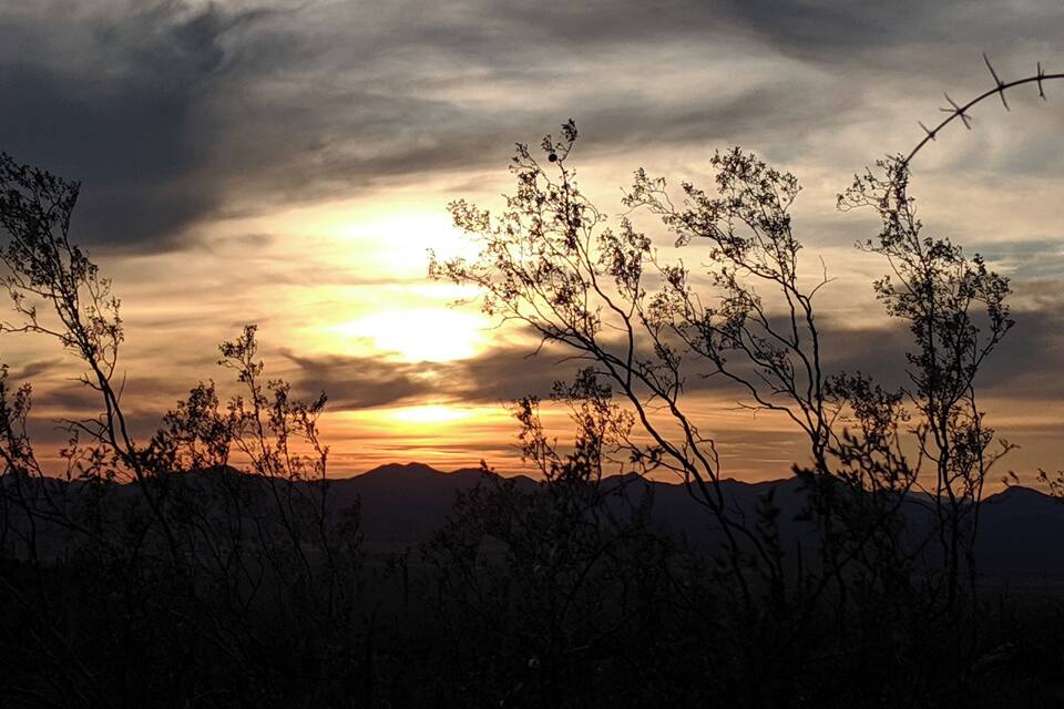 A sunset over a mountainous landscape with silhouetted trees.