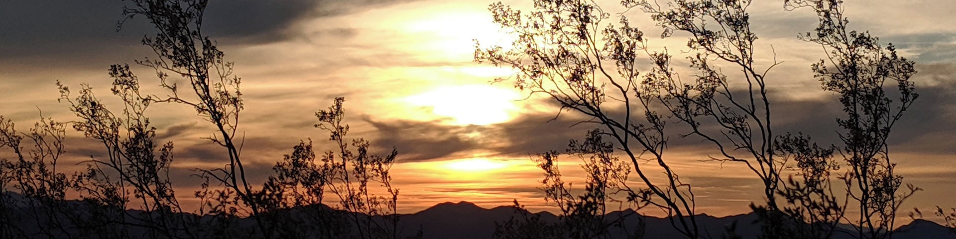 Sunset over the Arizona desert.