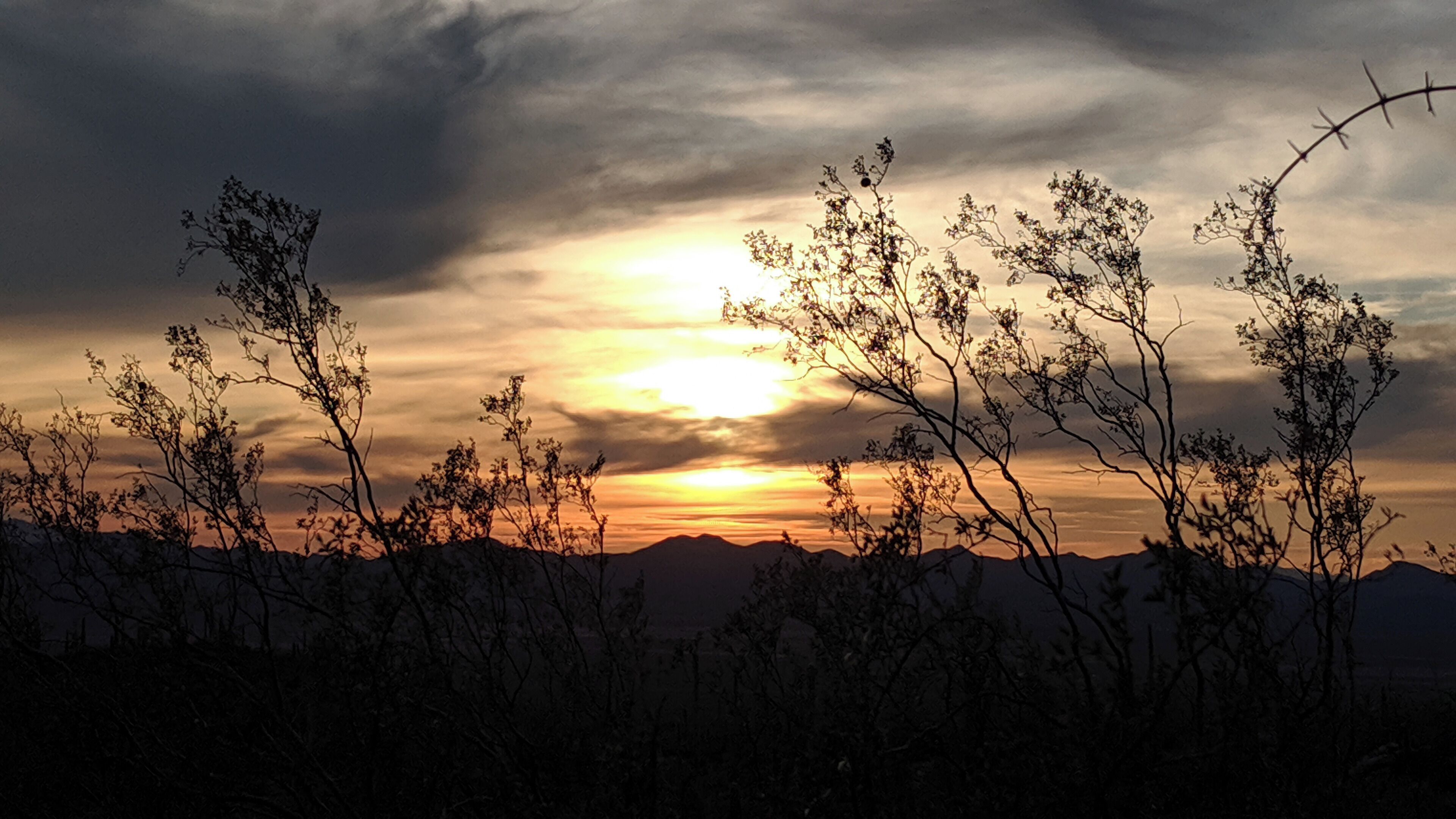 A sunset over a mountainous landscape with silhouetted trees.