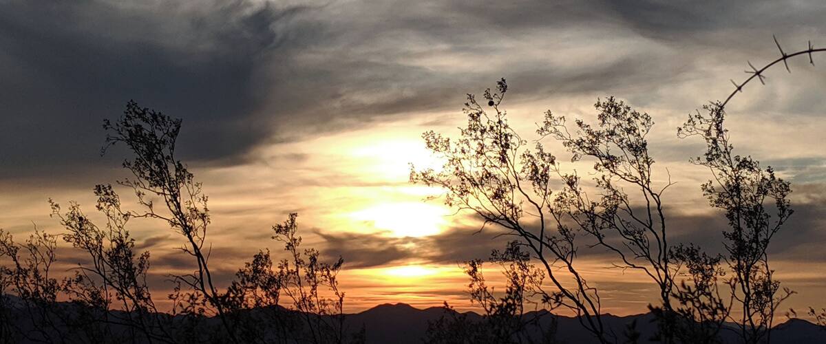 A sunset over a mountainous landscape with silhouetted trees.