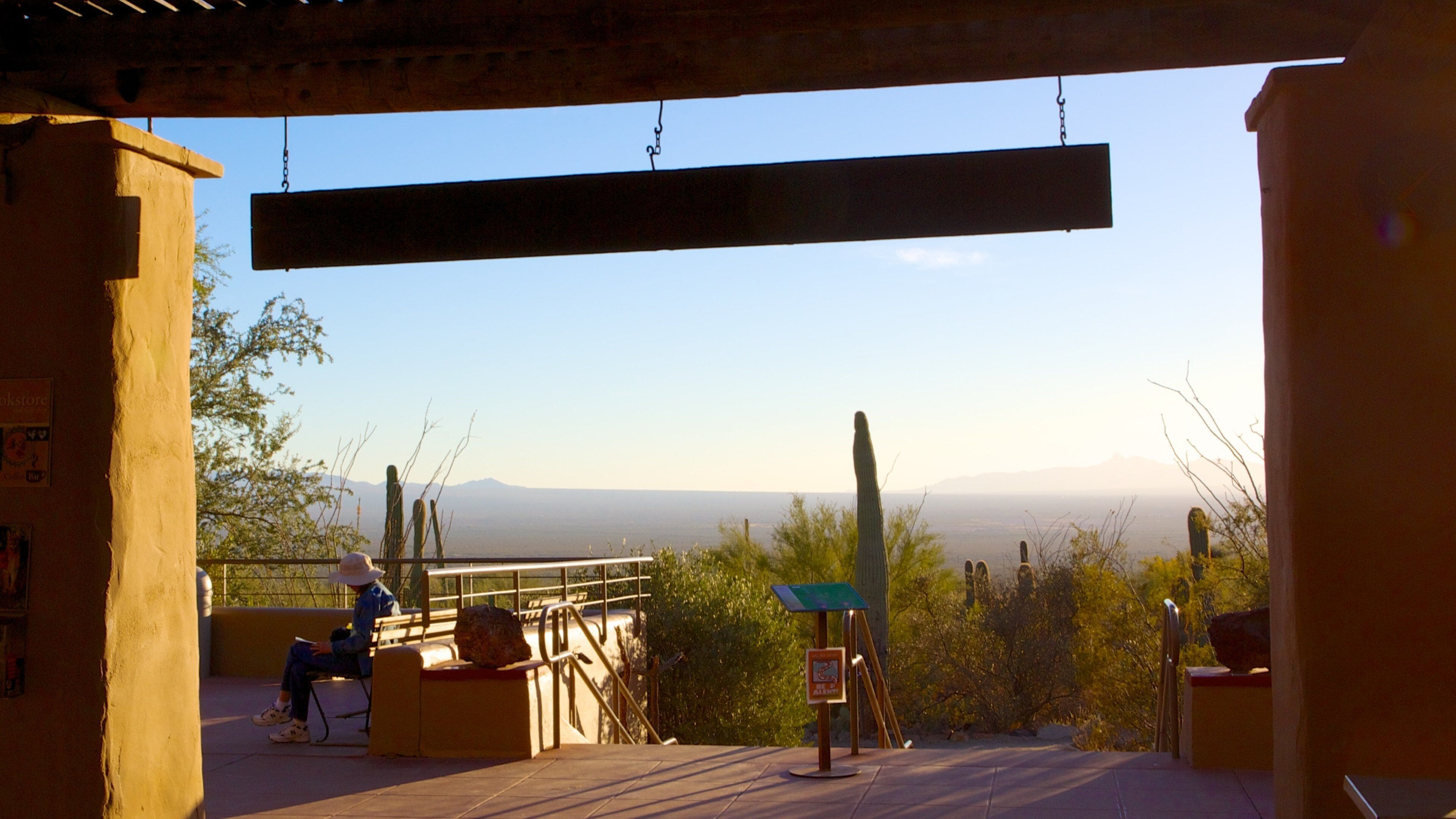 图森庄园的亚利桑那-索诺拉沙漠博物馆| Expedia