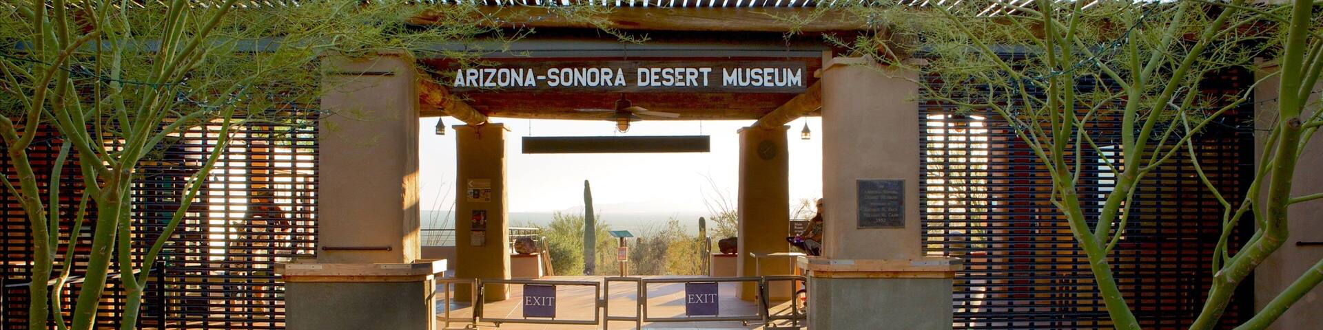 Entrada del Museo del Desierto Arizona-Sonora, con un arco de madera, puertas de metal y una escultura de cactus.
