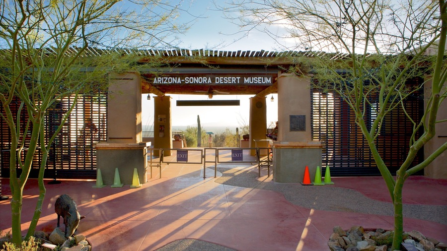 Arizona-Sonora Desert Museum featuring desert views and signage