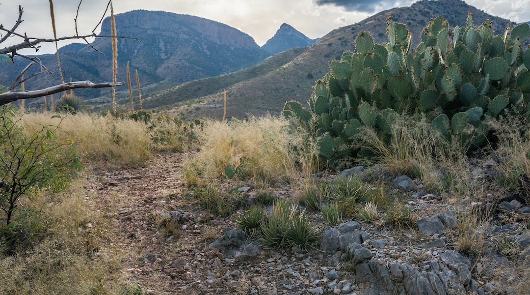 Kartchner Caverns State Park