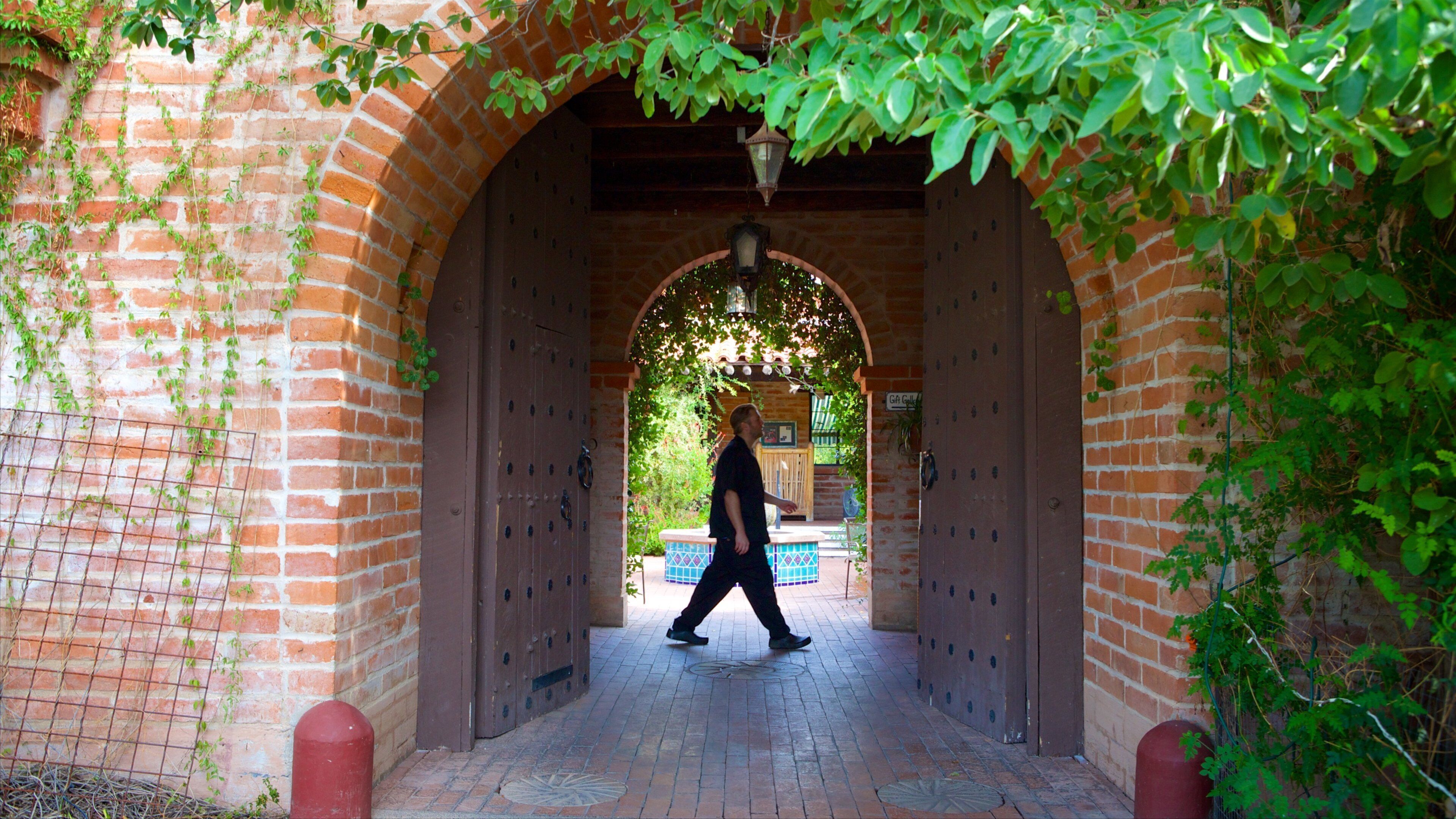 托赫诺丘尔公园