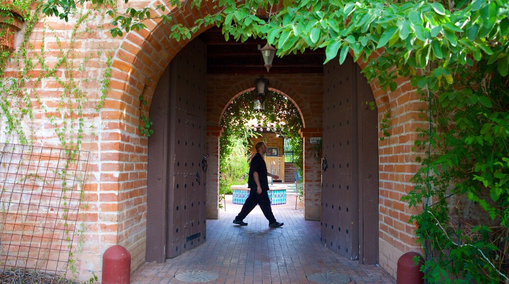 托赫诺丘尔公园