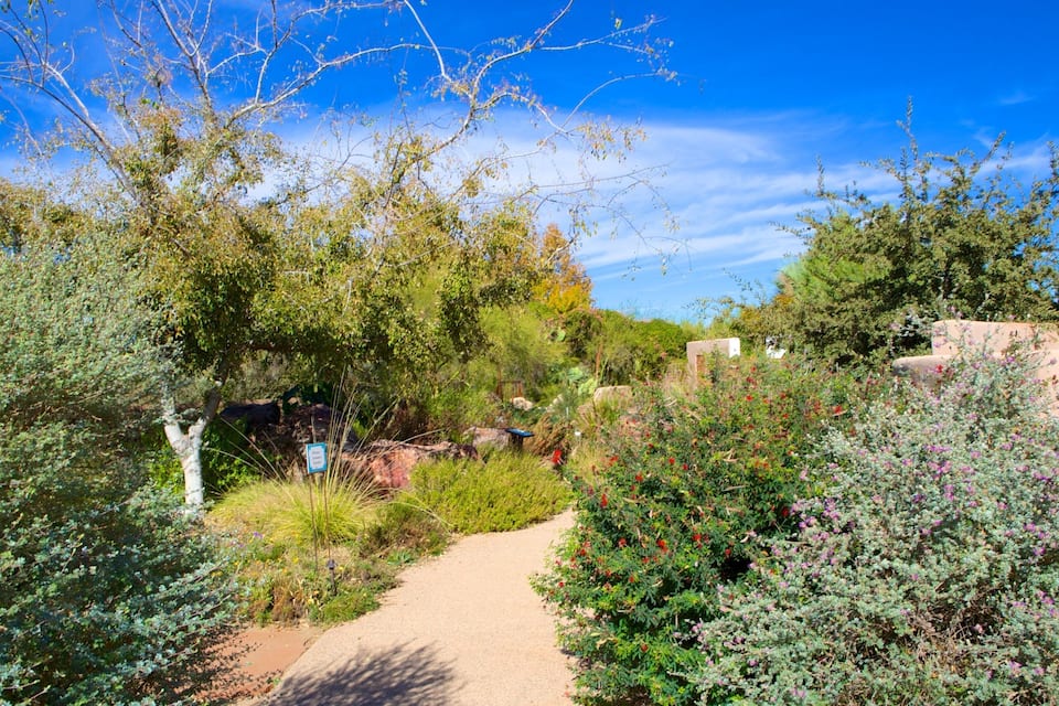 Un jardin avec un chemin de gravier, différents arbustes et arbres.