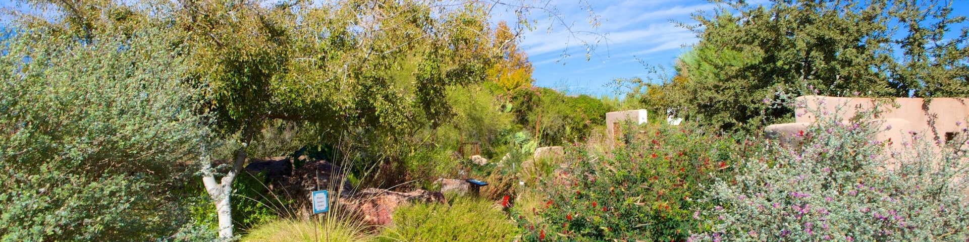 Tohono Chul Park caracterizando um parque