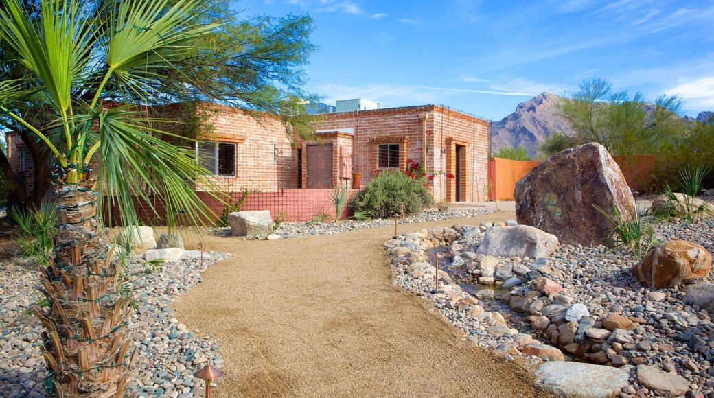 Tohono Chul Park showing a park