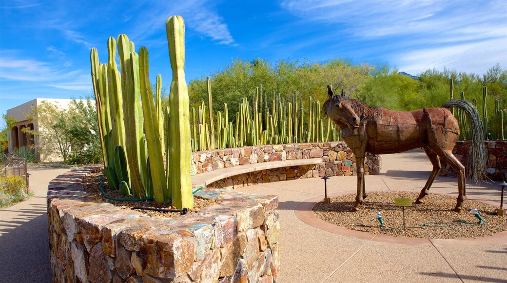 Tohono Chul Park showing desert views and outdoor art