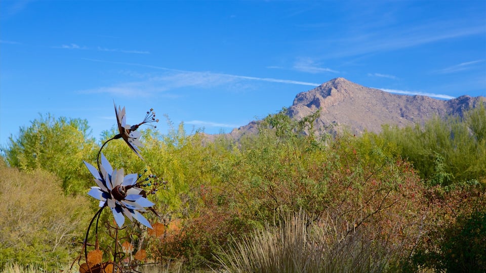 Tohono Chul Park showing outdoor art, mountains and desert views