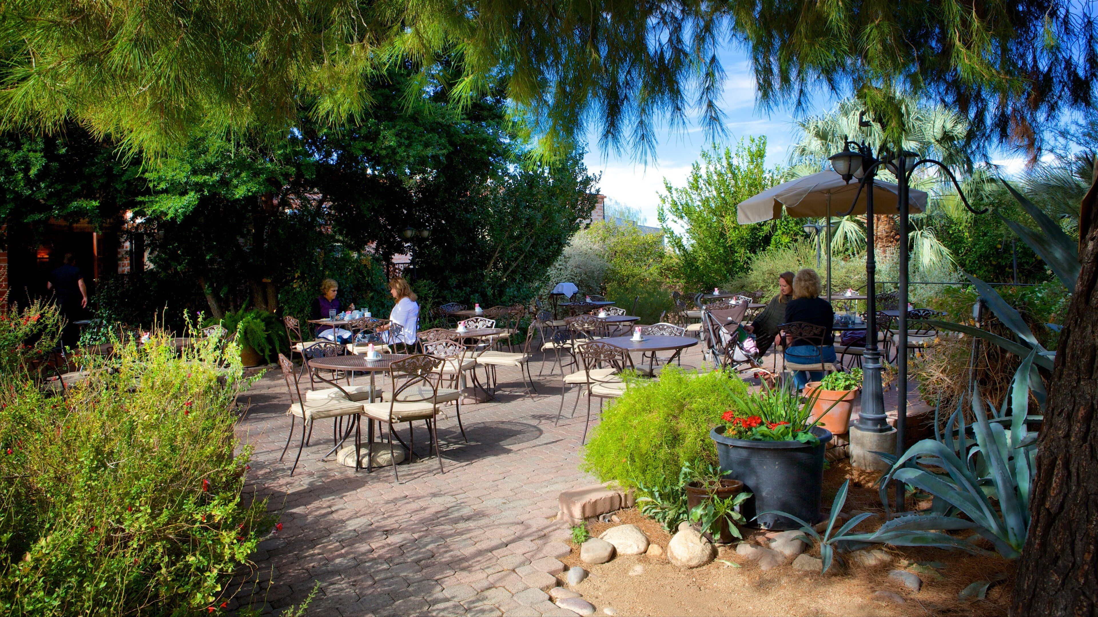 托赫诺丘尔公园