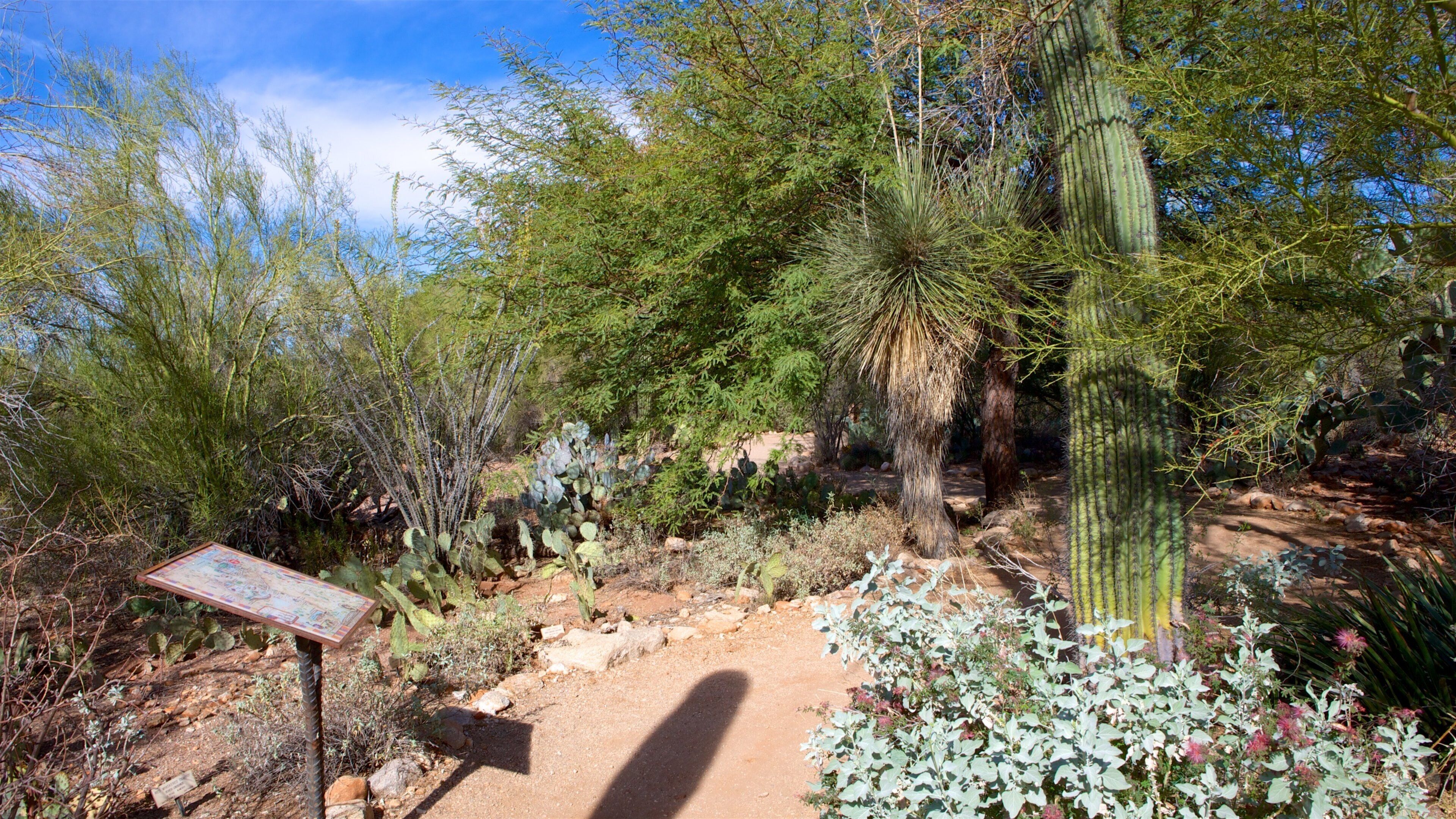 托赫诺丘尔公园