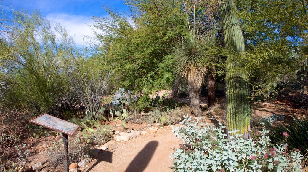 托赫诺丘尔公园