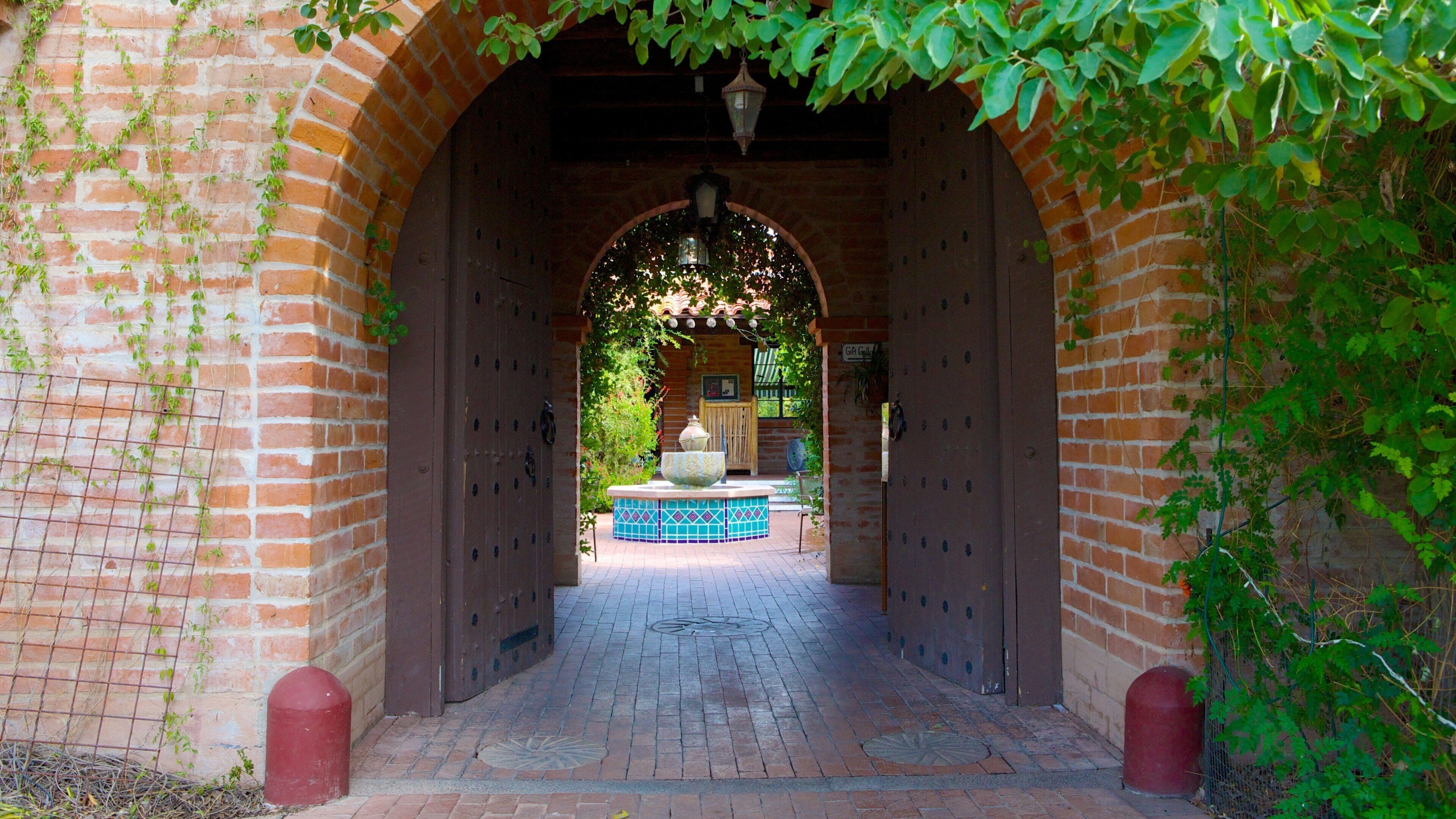 Tohono Chul Park som omfatter en have