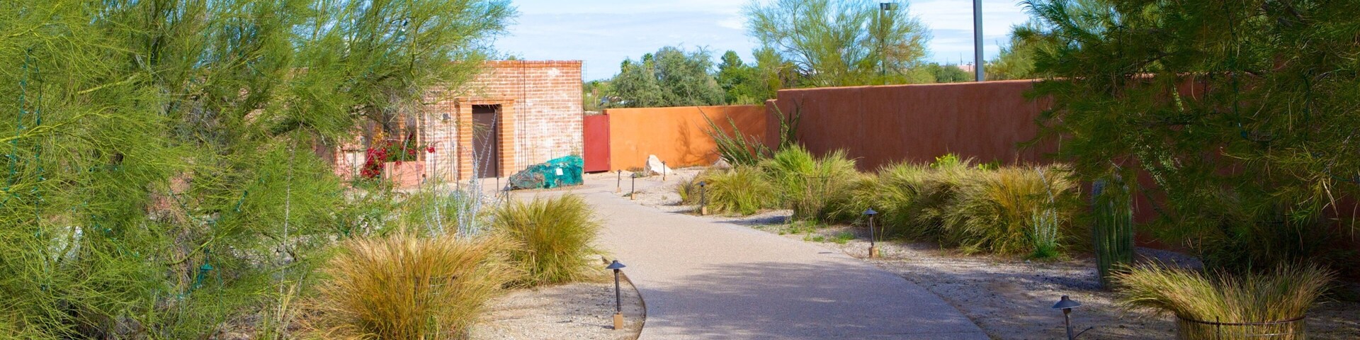 Tohono Chul Park which includes a garden