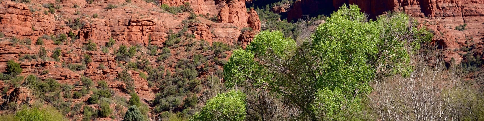 Cathedral Rock showing tranquil scenes and mountains