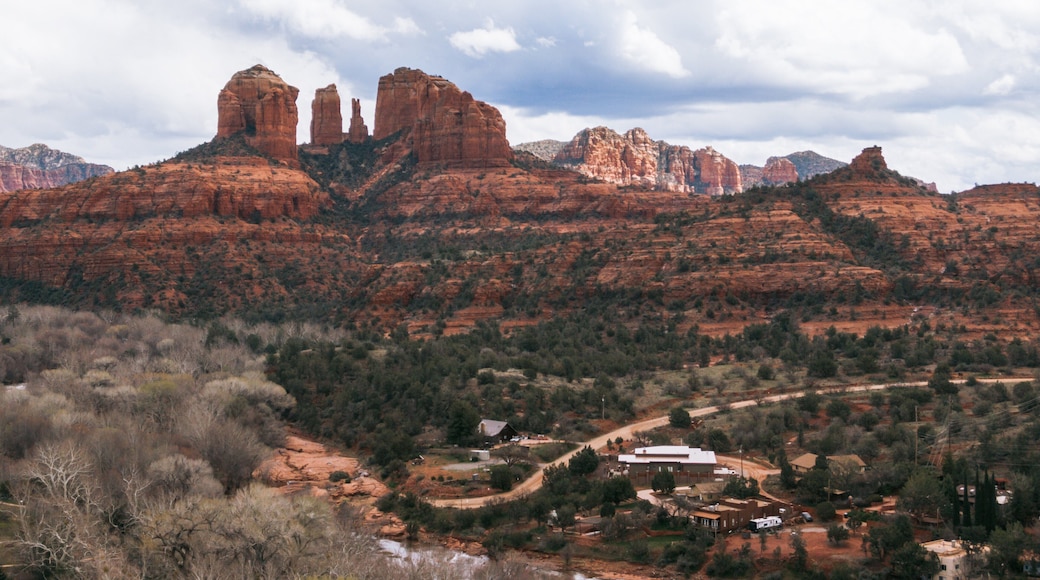 Cathedral Rock showing desert views and a gorge or canyon