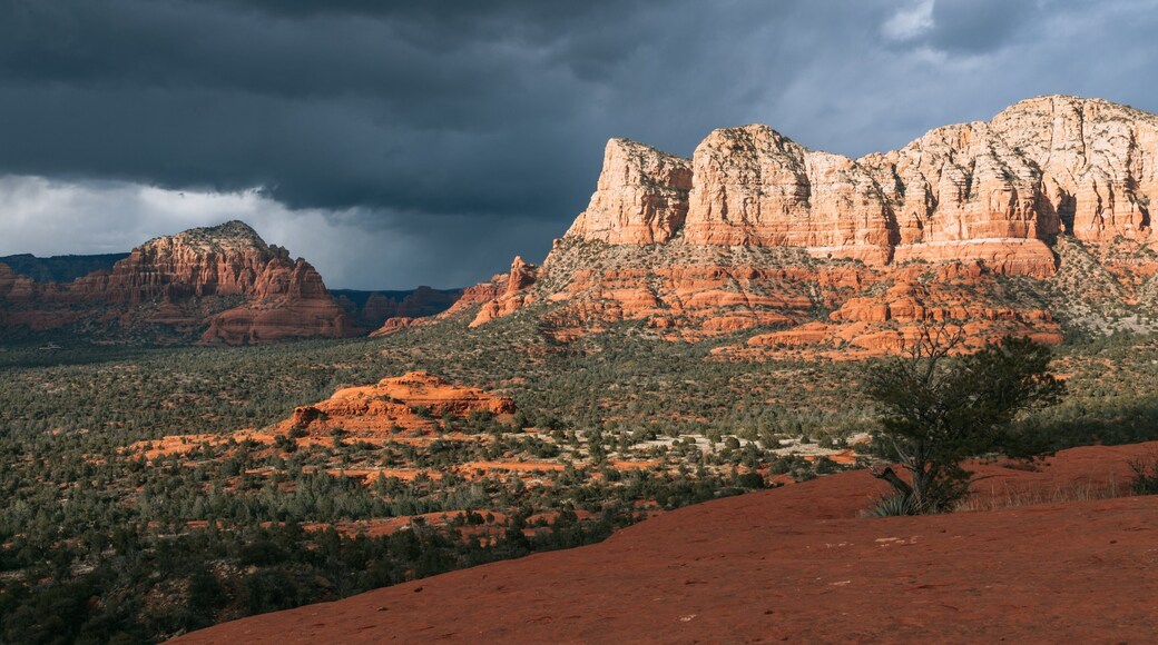 Bell Rock which includes a gorge or canyon and desert views