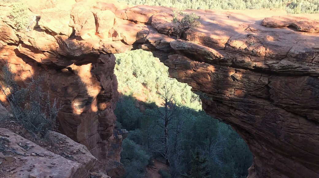 Great hike to this unusual site. Fairly easy 2+ miles.