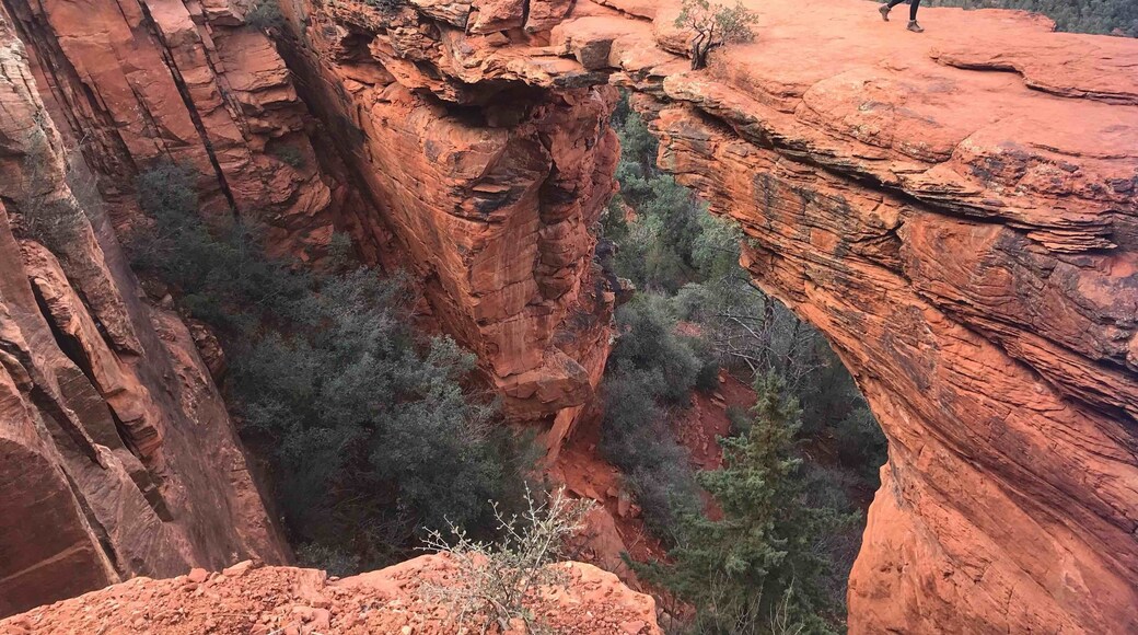 Devils bridge hike. Gets a little hairy the last half a mile or so, but it wasn’t as bad as it looks. My beagle/hound made it up ok as well.
