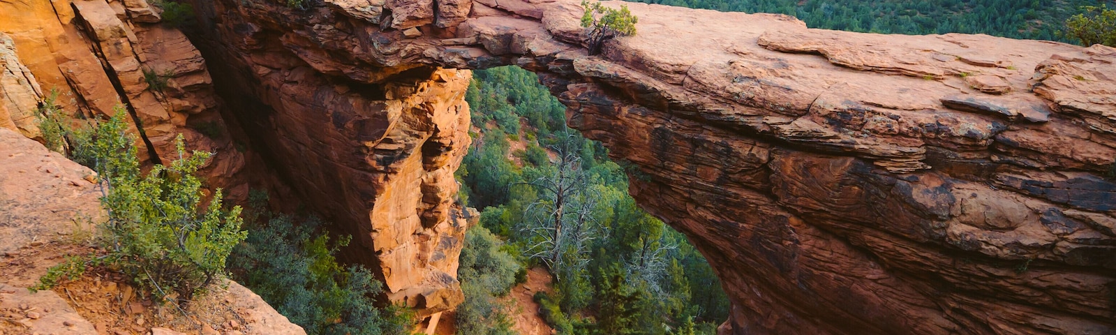 Sedona is home to some of the most mesmerizing hikes. This is no exception.