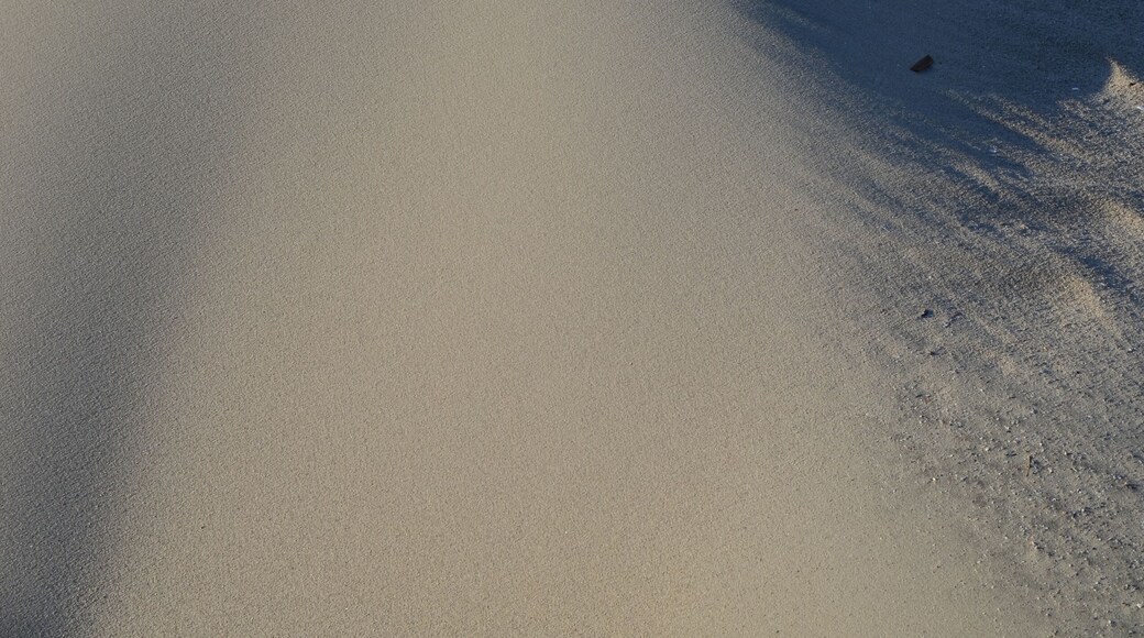 Düne auf Wangerooge