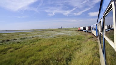 Wangerooge