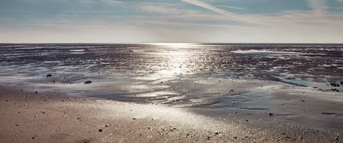 A beach with sunlight reflecting on wet sand and a clear sky with contrails.