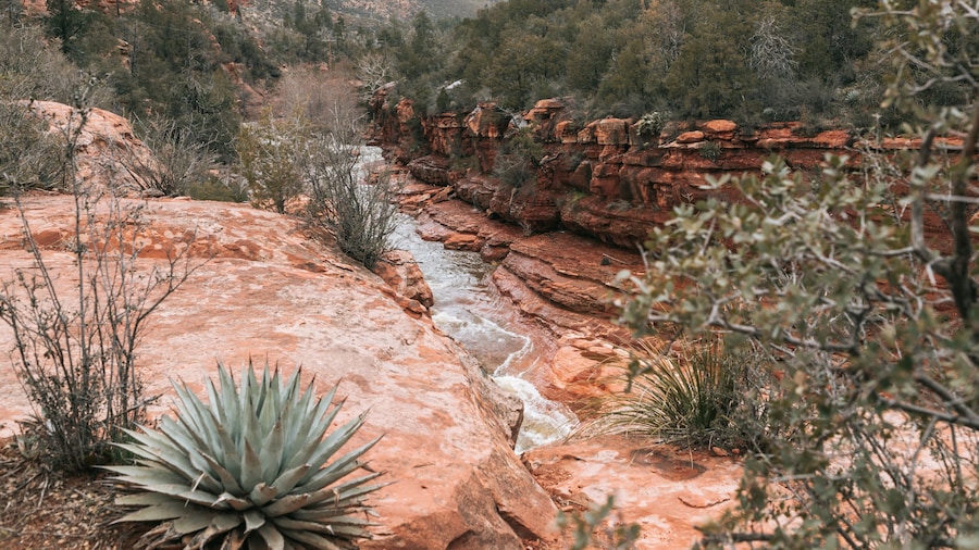 Slide Rock State Park showing a gorge or canyon and a river or creek