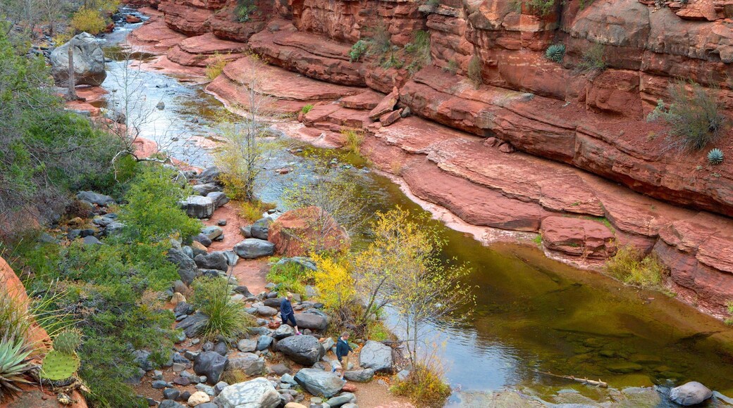 Slide Rock State Park featuring a gorge or canyon and a river or creek