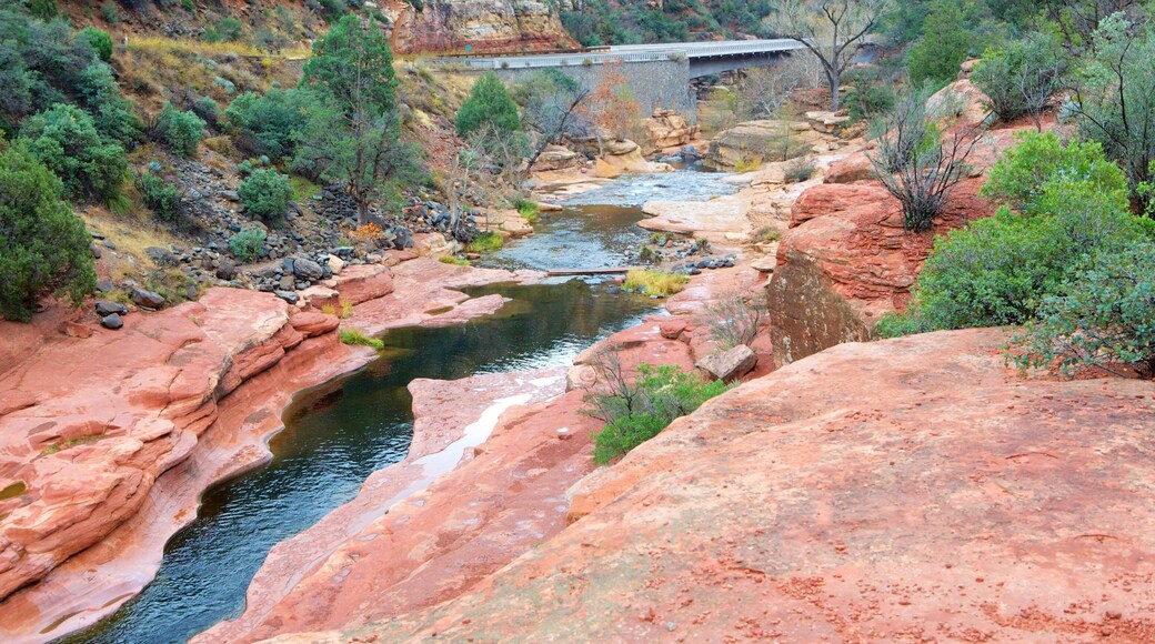 Slide Rock State Park which includes a park, a river or creek and a gorge or canyon