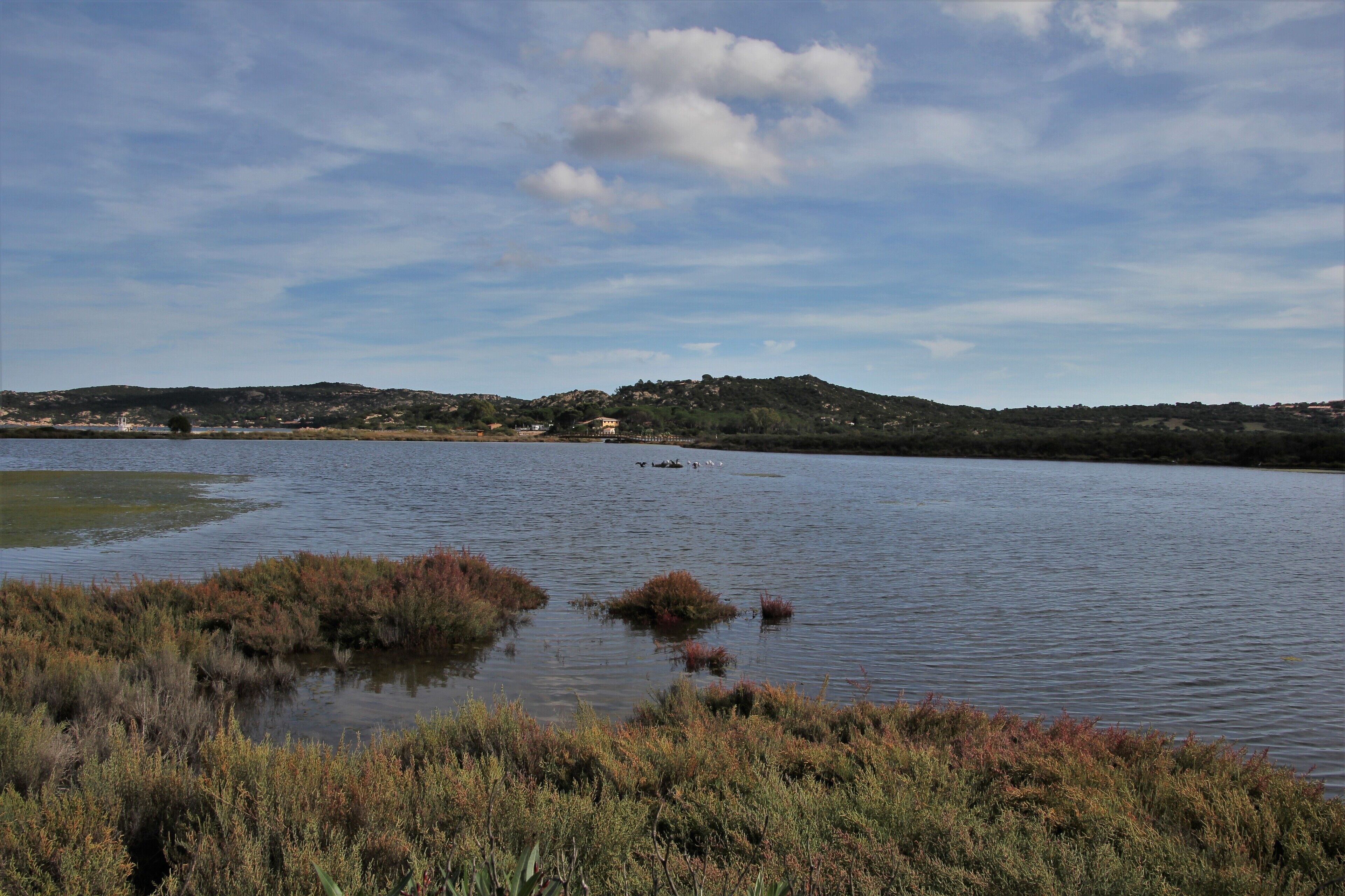 Loiri-Porto San Paolo, stagno di Porto Taverna