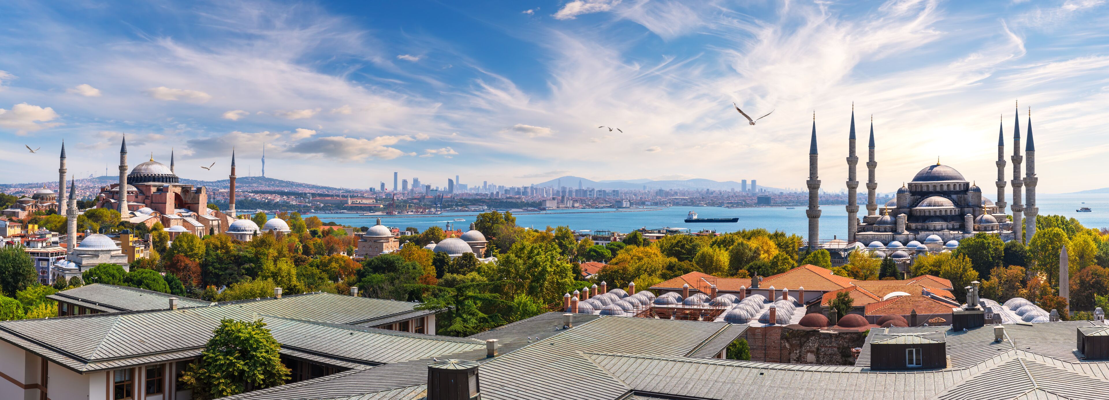 The Blue Mosque and Hagia Sophia, Istanbul panorama, Turkey