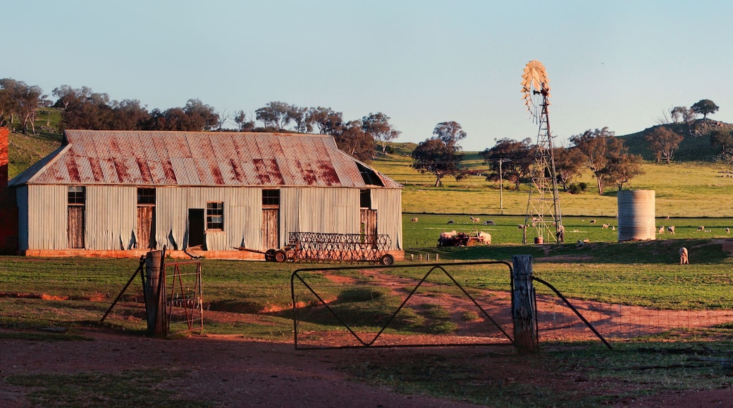 Old sheep station in Central West NSW