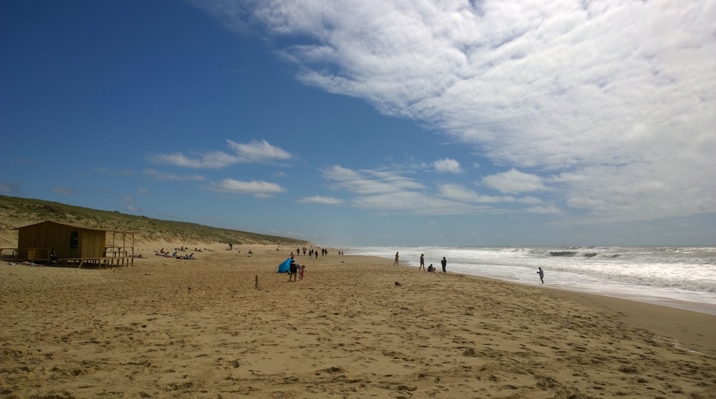 40200 Mimizan, France