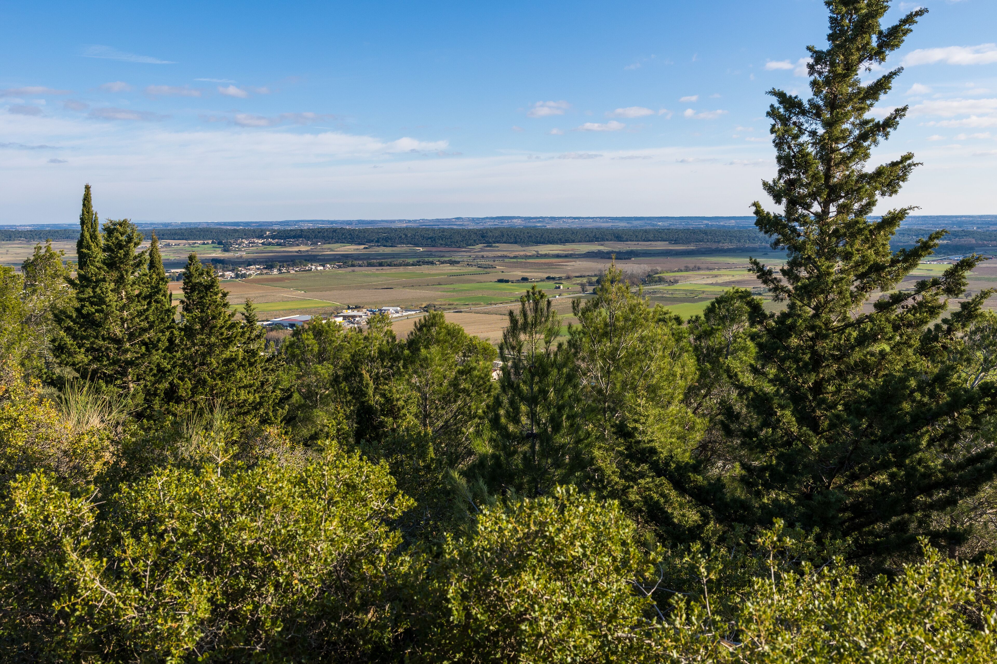 Plaine de la Vaunage depuis le Roc de Gachone à Calvisson