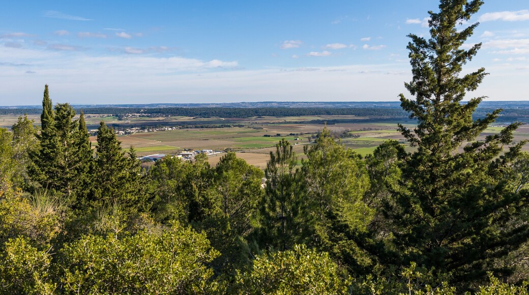 Plaine de la Vaunage depuis le Roc de Gachone à Calvisson