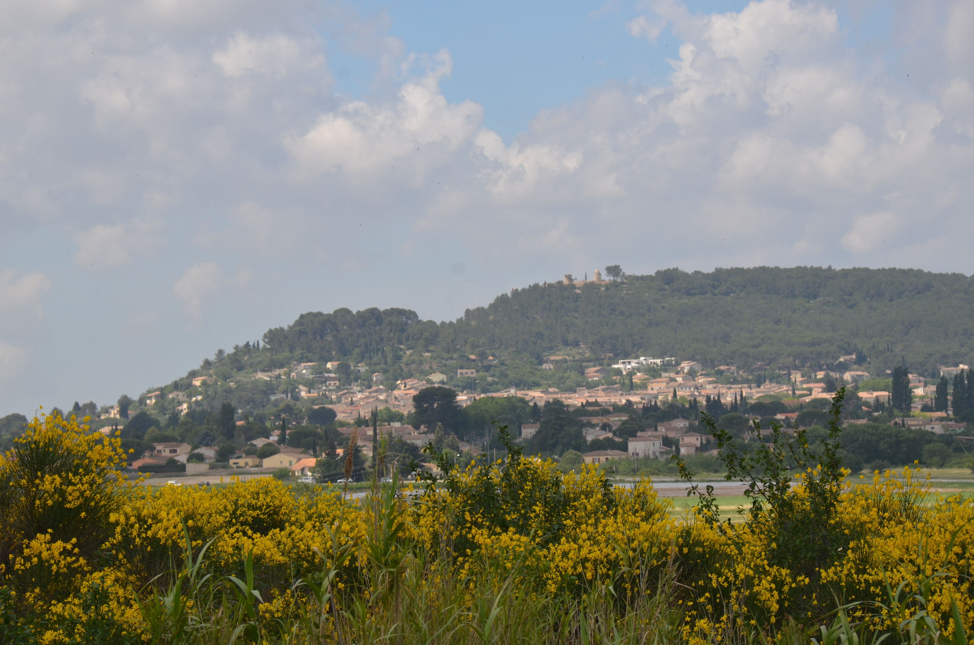 Biking on the old railwaytrack between Sommieres and Nimes there are superb views of small villages: here Calvisson