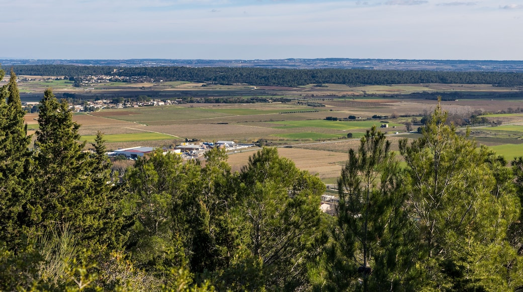 Plaine de la Vaunage depuis le Roc de Gachone à Calvisson